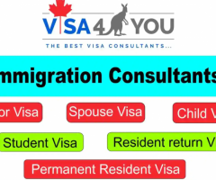 Professional visa consultants in Pune