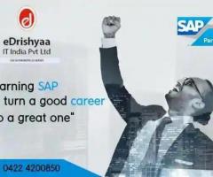 eDrishyaa IT India Pvt. Ltd (SAP Authorized Academy) - 1