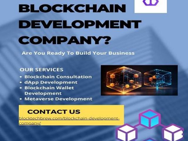 Hire Trustable Blockchain Development Company - 1